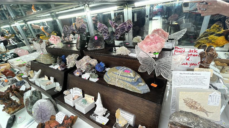 Display of rocks and minerals on tiered wooden stands inside a glass case, featuring amethyst clusters, rose quartz, geodes, fossils, and crystal specimens, some mounted on decorative stands, with handwritten information cards visible.